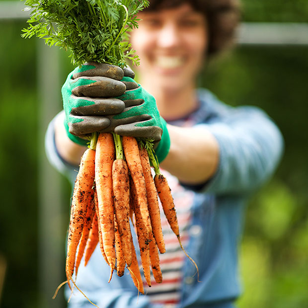 Eating for Healthy Eyesight